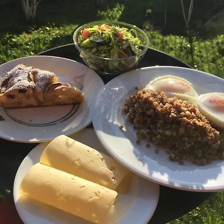 Гостевой дом Zarinski