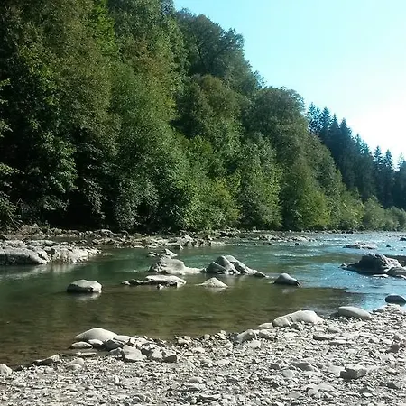 Zarinski * Квасы